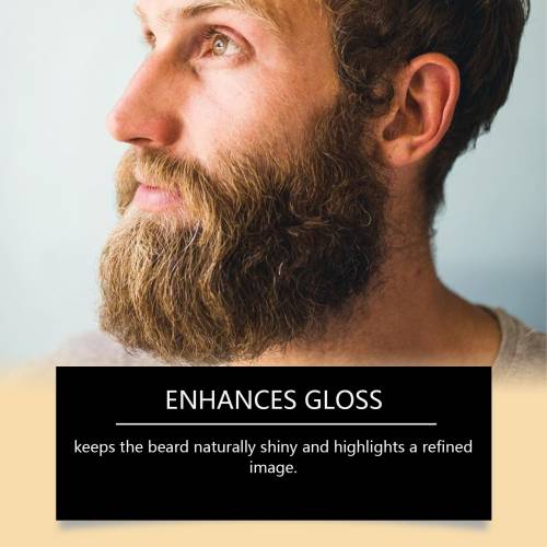 Aloe Nettle Beard Wash