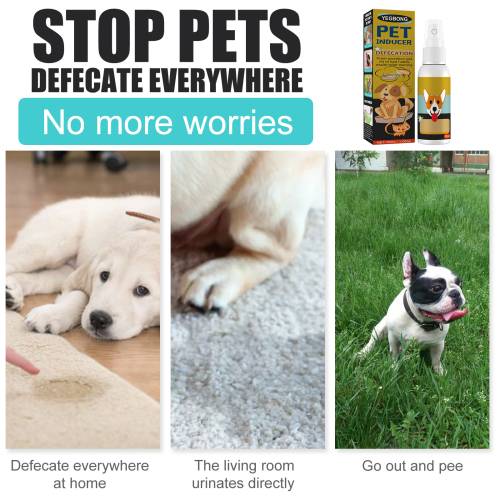 Pet Potty Location Spray