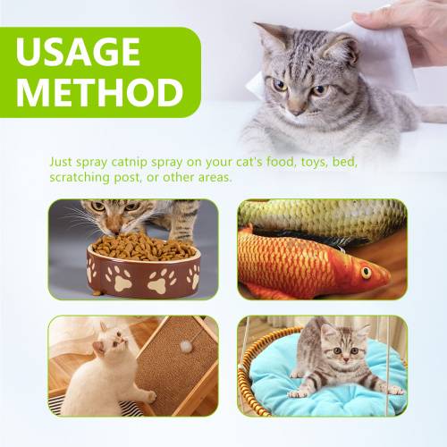 Catnip Spray