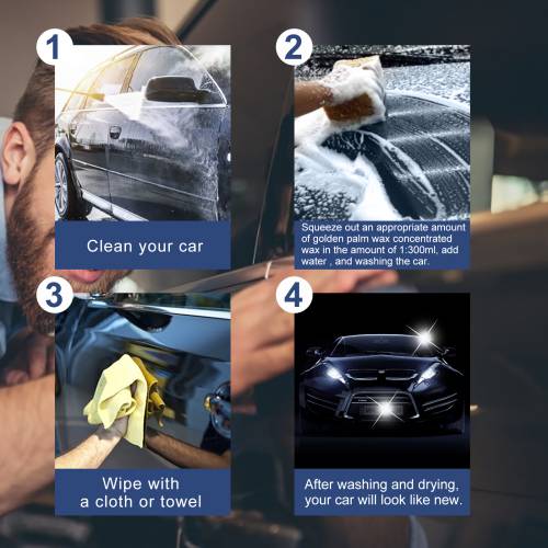 Carnauba Wash & Wax