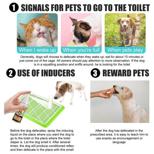 Pet Potty Location Spray