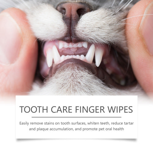 Cat & Dog Tooth Wipes