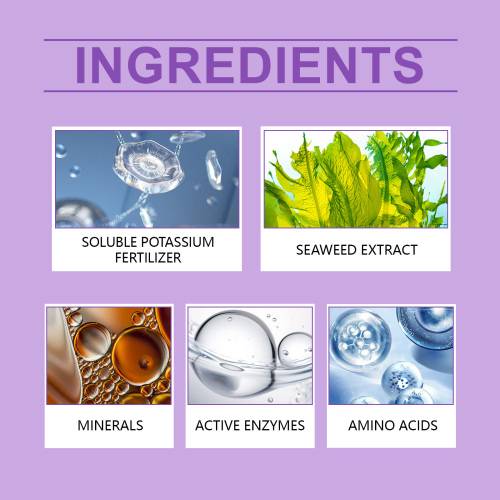 Orchid Seaweed Nutrient Solution