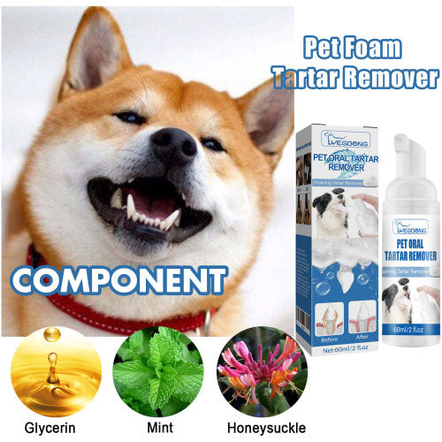 Pet Tartar Foam Cleaner