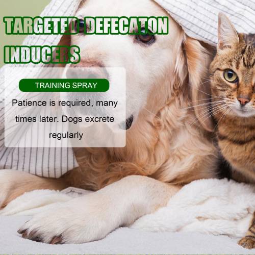 Pet Potty Training Aid