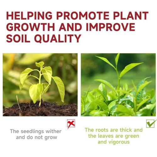 Organic Slow-Release Fertilizer Tablets for Flowers & Trees