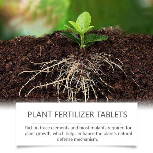 Organic Slow-Release Fertilizer Tablets