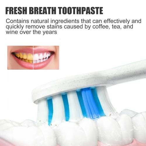 Probiotic Xylitol Whitening Toothpaste