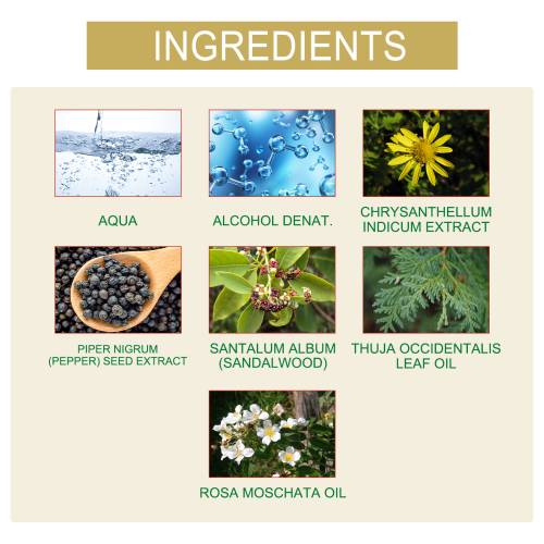 Bellflower Musk Rose Perfume