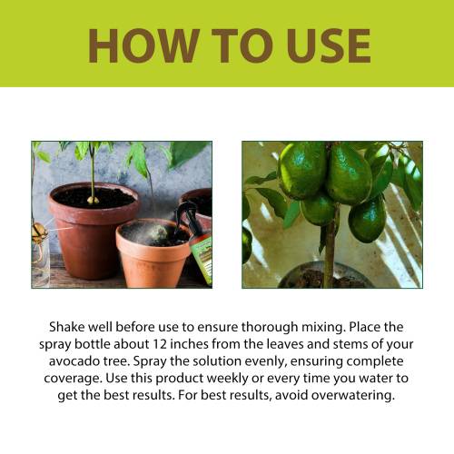 Avocado Tree 3-1-2 Liquid Fertilizer