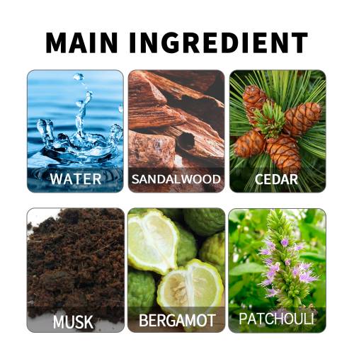 Sandalwood Cedar Musk Perfume
