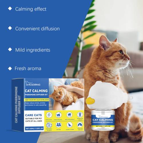 Cat Diffuser Set