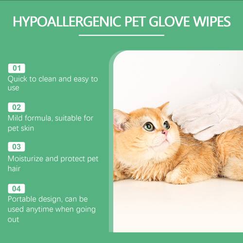 Pet Disposable Cleaning Gloves