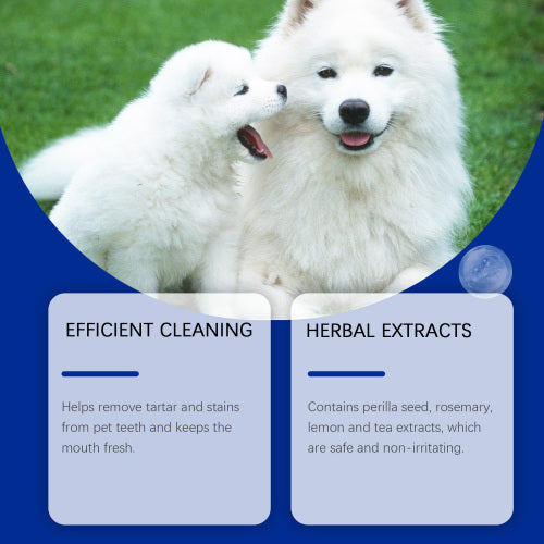 Dog Teeth Cleaning Powder