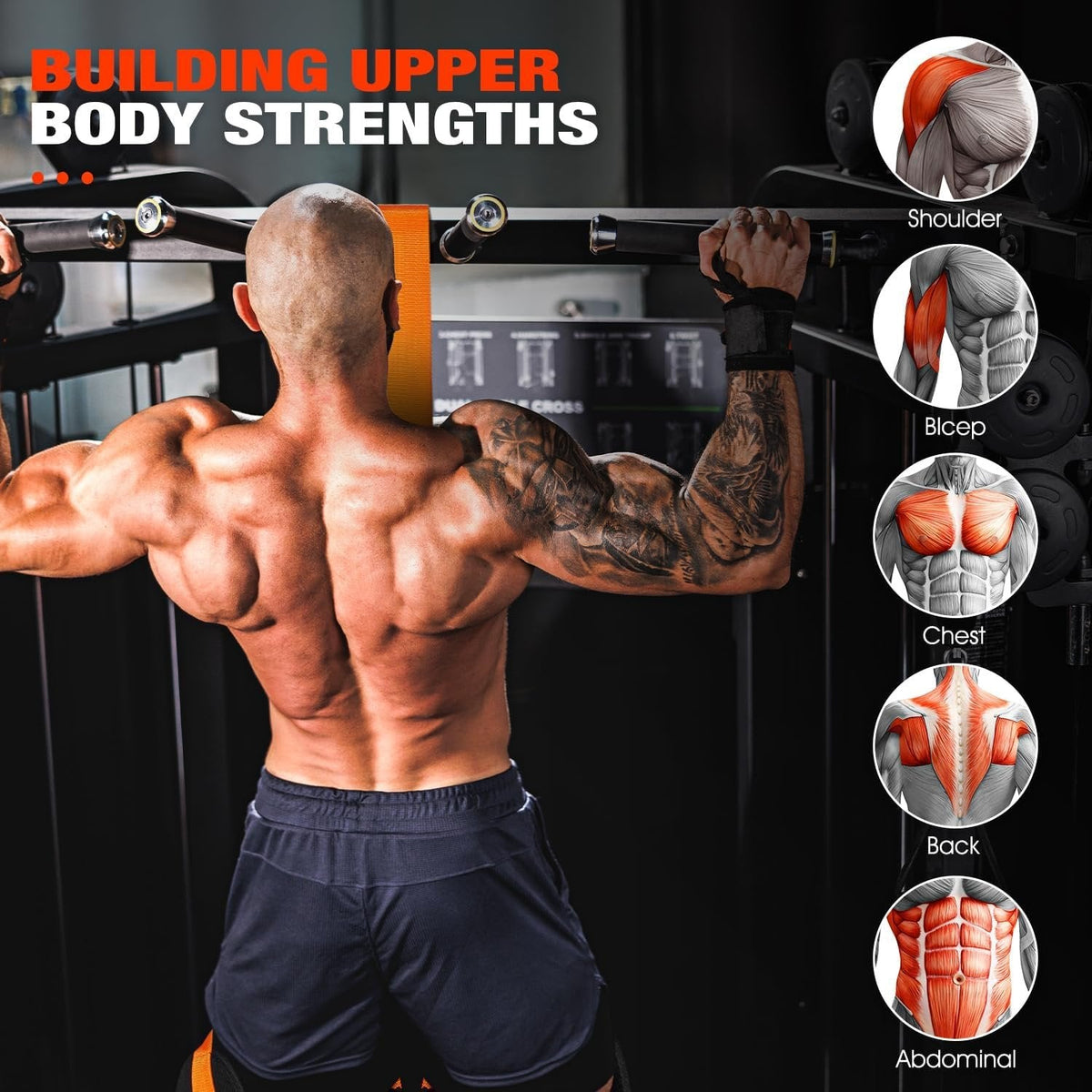 Pull-up assistance band with double foot system | zavevo