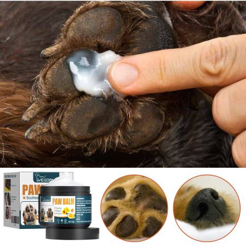 Sunflower Pet Paw Balm