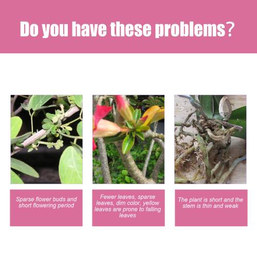 Desert Rose 3-1-2 Liquid Fertilizer