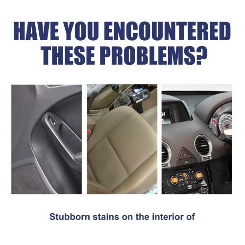 Enzyme Stain Remover for Car Interiors