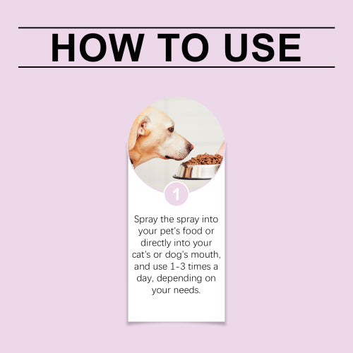Pet Tooth Stain Spray