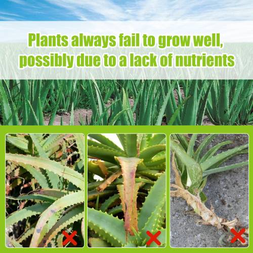 Aloe Vera 3-1-2 Liquid Fertilizer