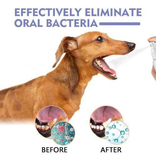 Pet Oral Care Spray