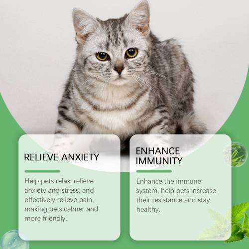 Pet Nutrition Drops with Peppermint