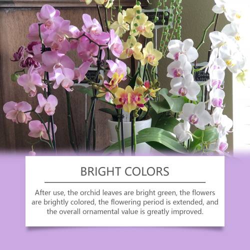 Orchid Seaweed Nutrient Solution