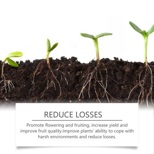 Rooting & Seedling Powder