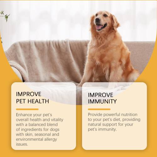 Dog Nutrition Drops with Mint