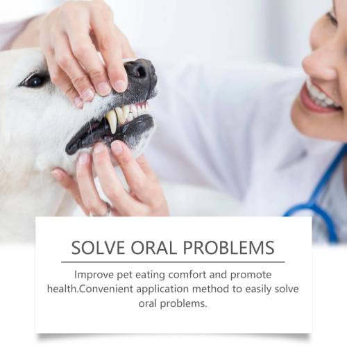 Oat Pet Oral Gel