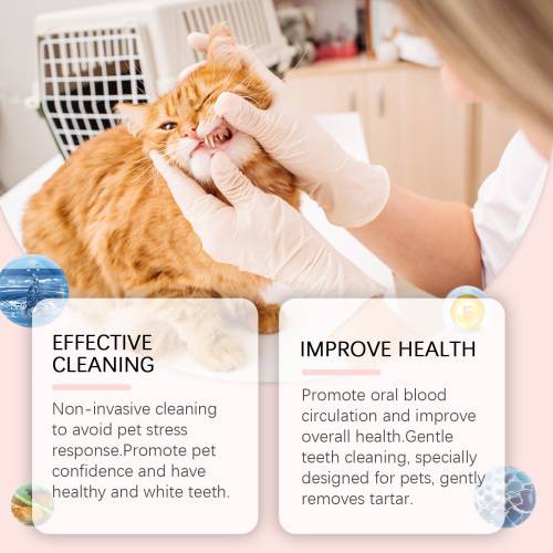 Pet Finger Toothbrush Wipes