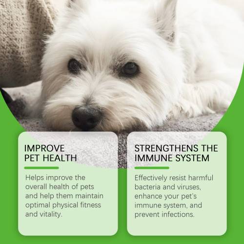 Dog Dietary Supplement