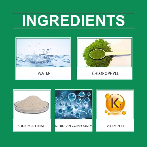 Chlorophyll Plant Spray