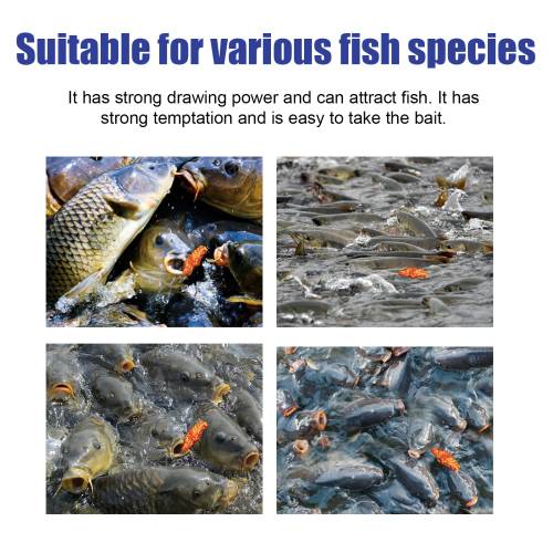 Plant-Based Fishing Bait Powder