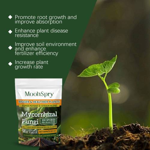 Organic Root Enhancer Powder