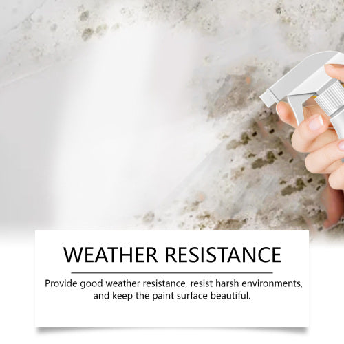 Quick-Dry Wall Touch-Up Spray Paint