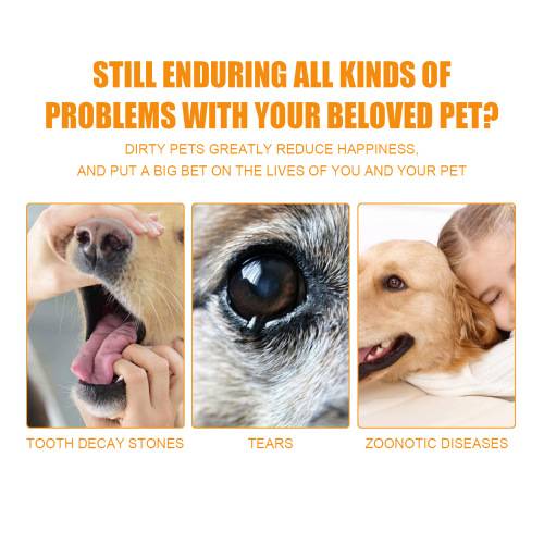 Pet Dental Finger Wipes