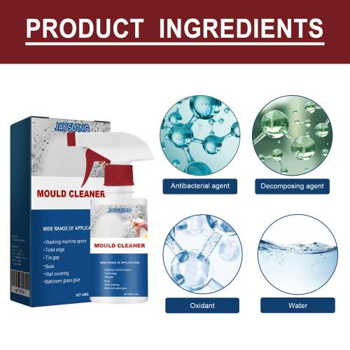 Mold & Mildew Stain Spray