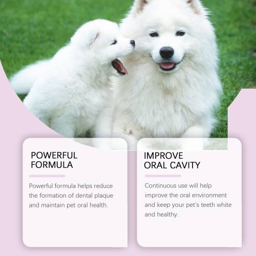 Pet Tooth Stain Spray