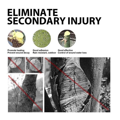 Tree Wound Dressing
