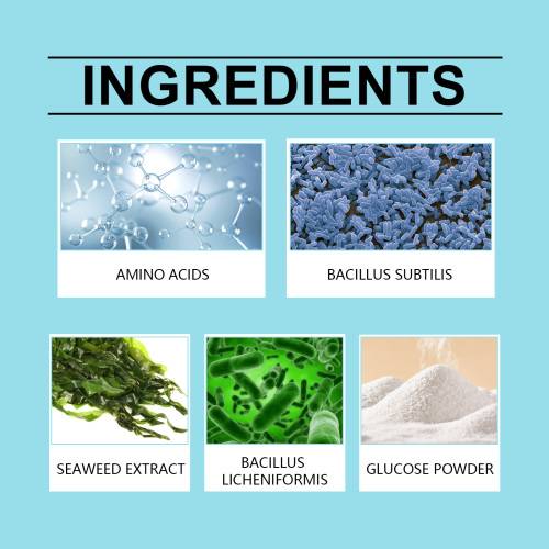 Plant Nutrition Powder
