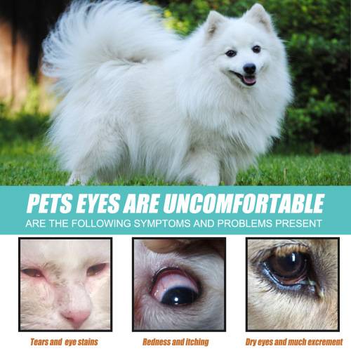 Dog Tear Stain Serum