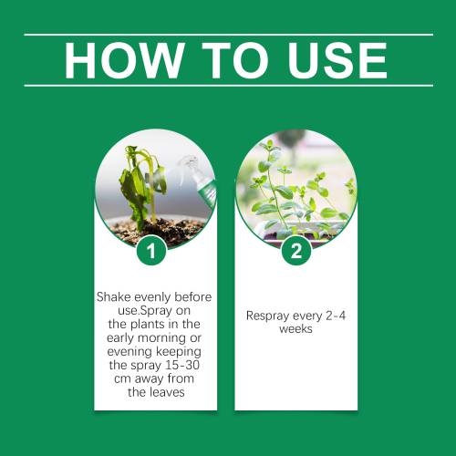 Chlorophyll Plant Spray