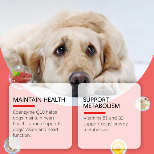 Dog Coenzyme Tablets