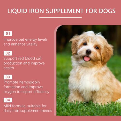 Dog Supplement Syrup