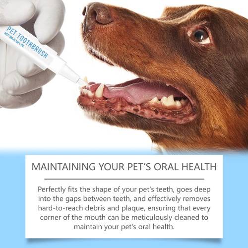 Oat Pet Toothbrush Pen