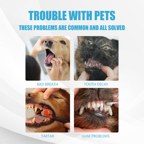 Edible Pet Toothpaste
