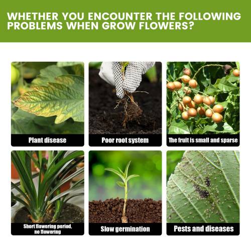 Hydroponic Plant Nutrient Solution