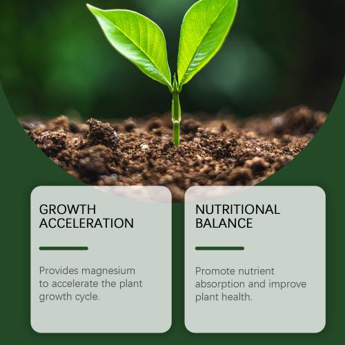 Plant Growth Nutrient Powder