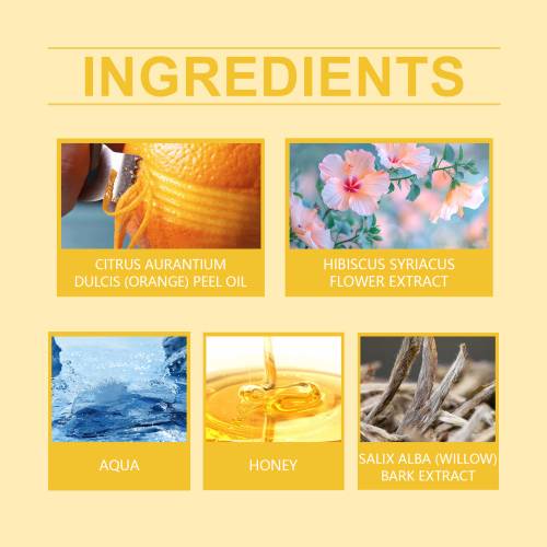 Honey Foam Face Cleanser with White Willow Bark